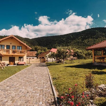 Casa Bunicilor Hotel Nucsoara  Bagian luar foto