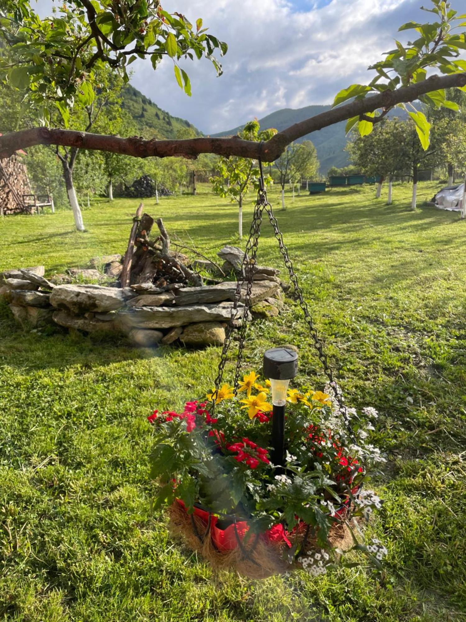 Casa Bunicilor Hotel Nucsoara  Bagian luar foto